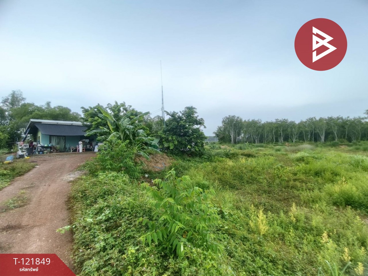 ขายที่ดินสวนผลไม้ พร้อมบ้าน 12 ไร่ 16 ตร.วา ต.บ้านนา ระยอง