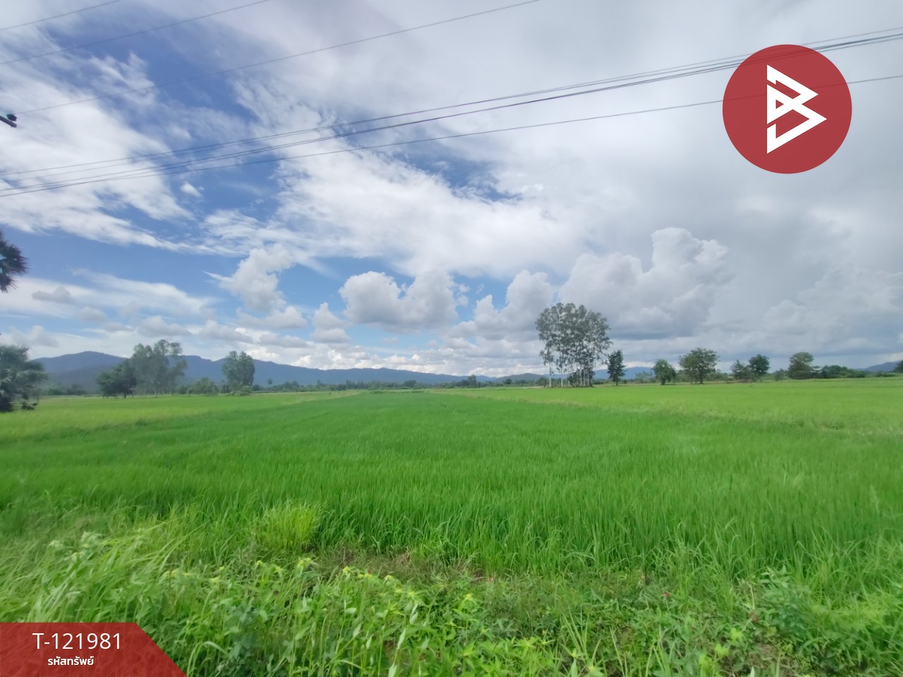 ขายที่ดิน เนื้อที่ 1 ไร่ 3 งาน 94.5 ตร.วา ทองแสนขัน อุตรดิตถ์