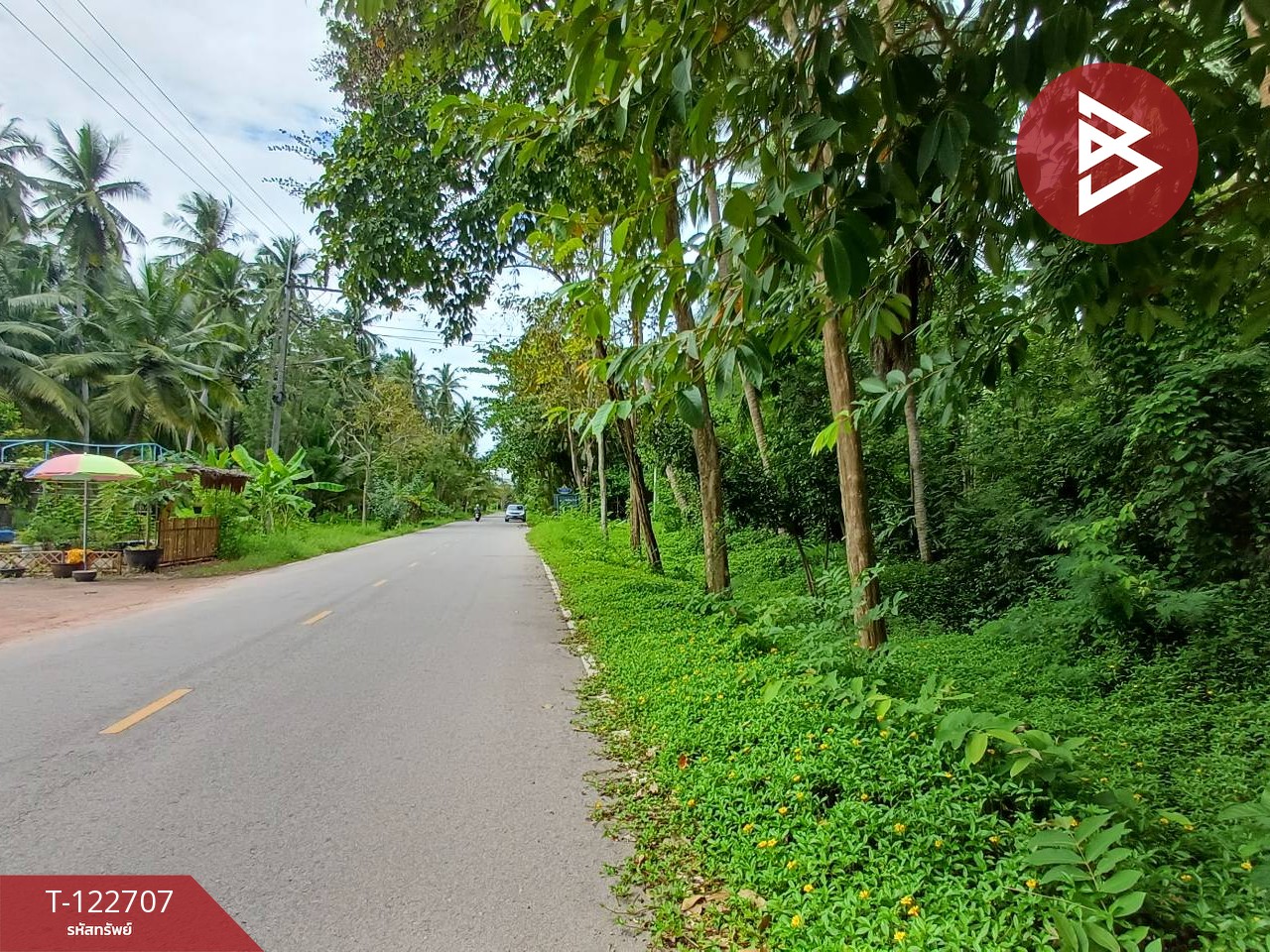 ขายที่ดิน เนื้อที่ 1 ไร่ 91 ตร.วา บ้านปรก สมุทรสงคราม