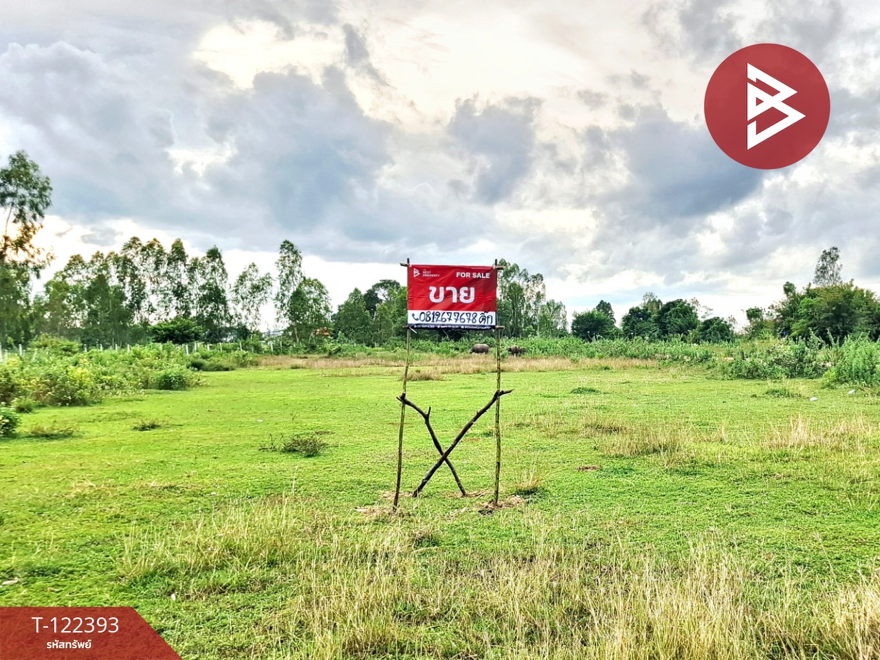 ขายที่ดิน เนื้อที่ 4 ไร่ 3 งาน 64.3 ตร.วา ดงลาน ร้อยเอ็ด