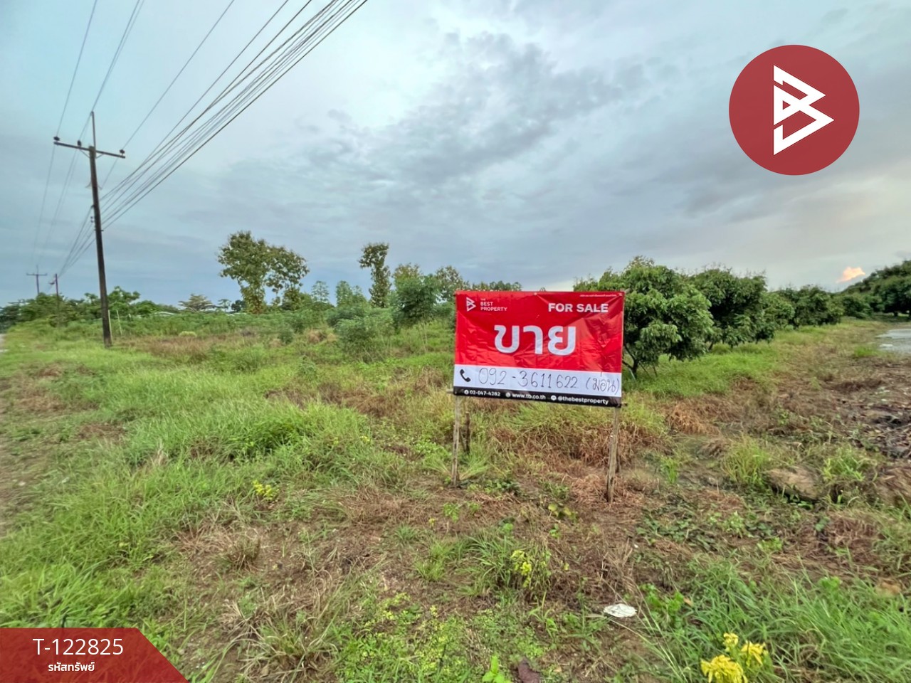 ขายที่ดิน เนื้อที่ 8 ไร่ 3 งาน 91.9 ตารางวา สอยดาว จันทบุรี ใกล้วัดสว่างอารมณ์