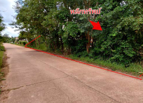 KTB : ที่ดินเปล่า ตำบลบึงกาฬ บึงกาฬ 67NE010100690