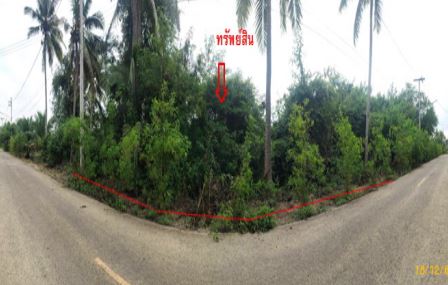 KTB : ที่ดินเปล่า ตำบลคลองฉนาก สุราษฎร์ธานี 66SS010100091