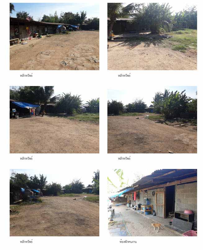KTB : ที่ดินพร้อมสิ่งปลูกสร้าง ตำบลหนองโพ นครสวรรค์ 64NN010200102