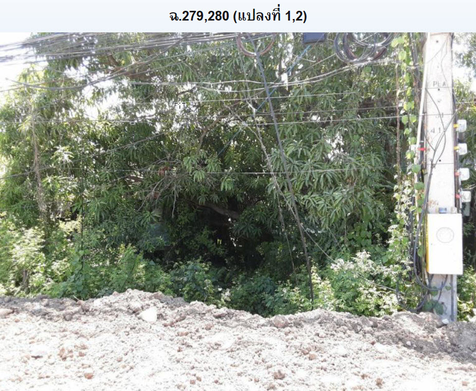 KTB : ที่ดินเปล่า ตำบลในเมือง เพชรบูรณ์ 64NN010101903