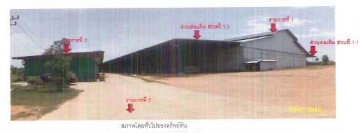 KTB : โรงสี ตำบลระโนด สงขลา 60SS033502142