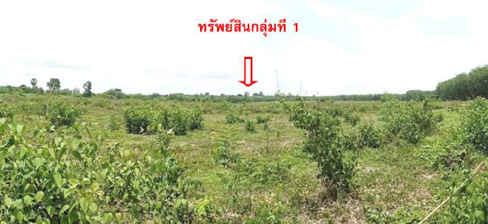 KTB : ที่ดินเปล่า ตำบลท่ากกแดง บึงกาฬ 63NE030102917