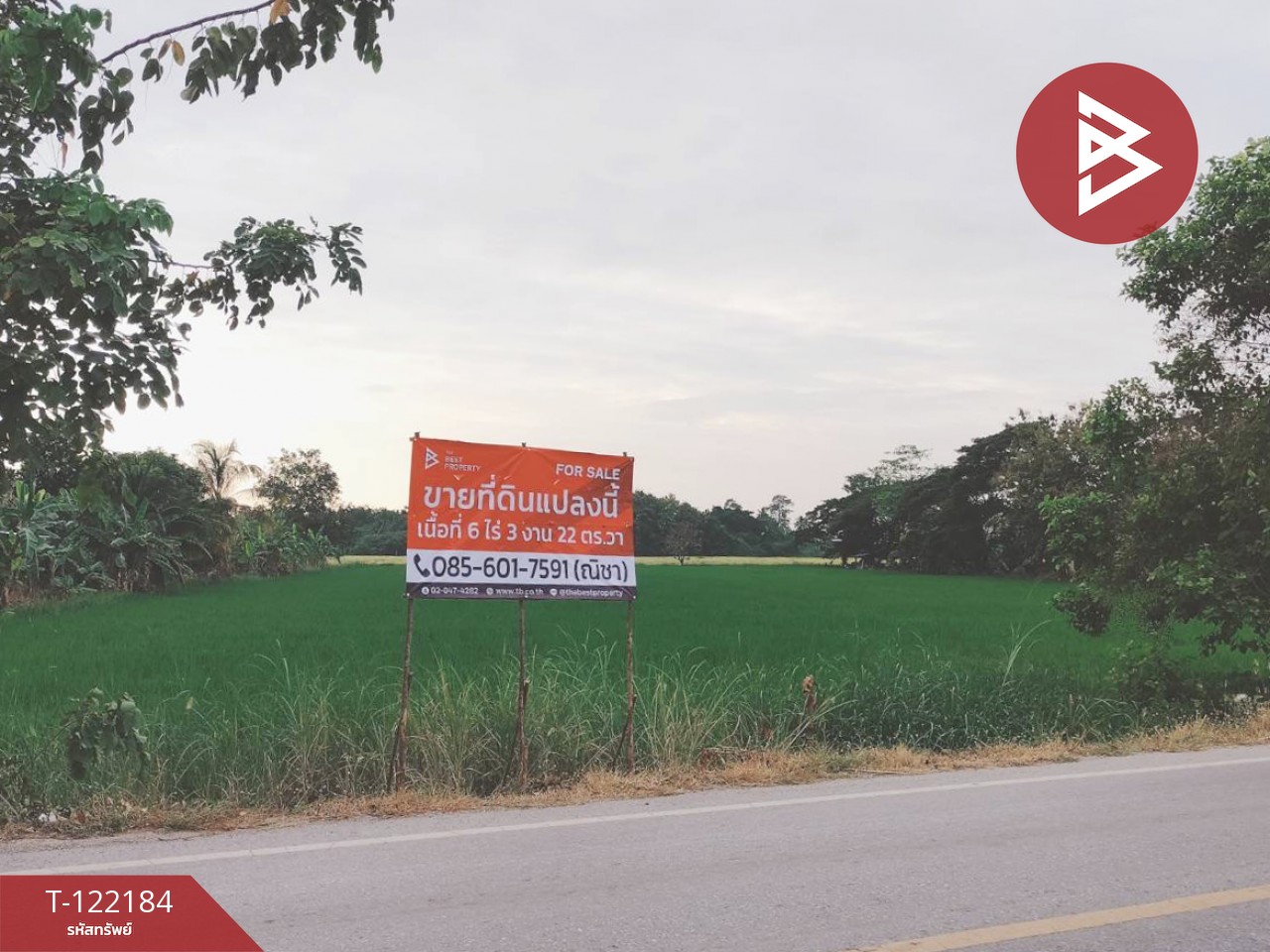 ขายที่ดิน เนื้อที่ 6 ไร่ 3 งาน 22 ตร.วา บึงพระ พิษณุโลก