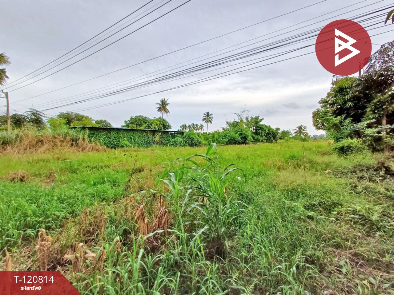 ขายที่ดิน เนื้อที่ 2 ไร่ ตะพานหิน พิจิตร