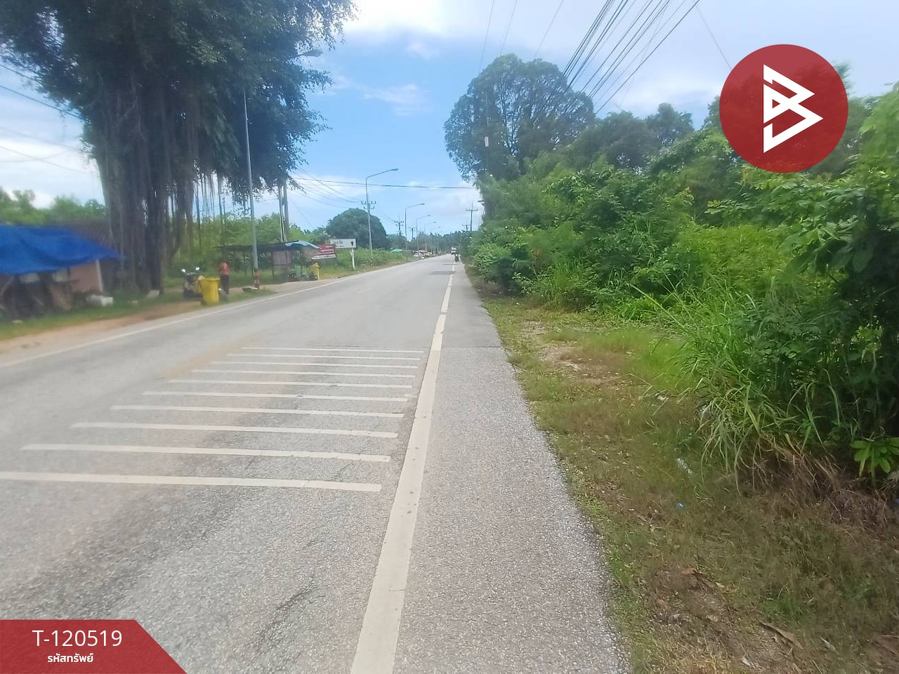 ขายที่ดิน เนื้อที่ 30 ไร่ 1 งาน 2.9 ตร.วา ท่าใหม่ จันทบุรี