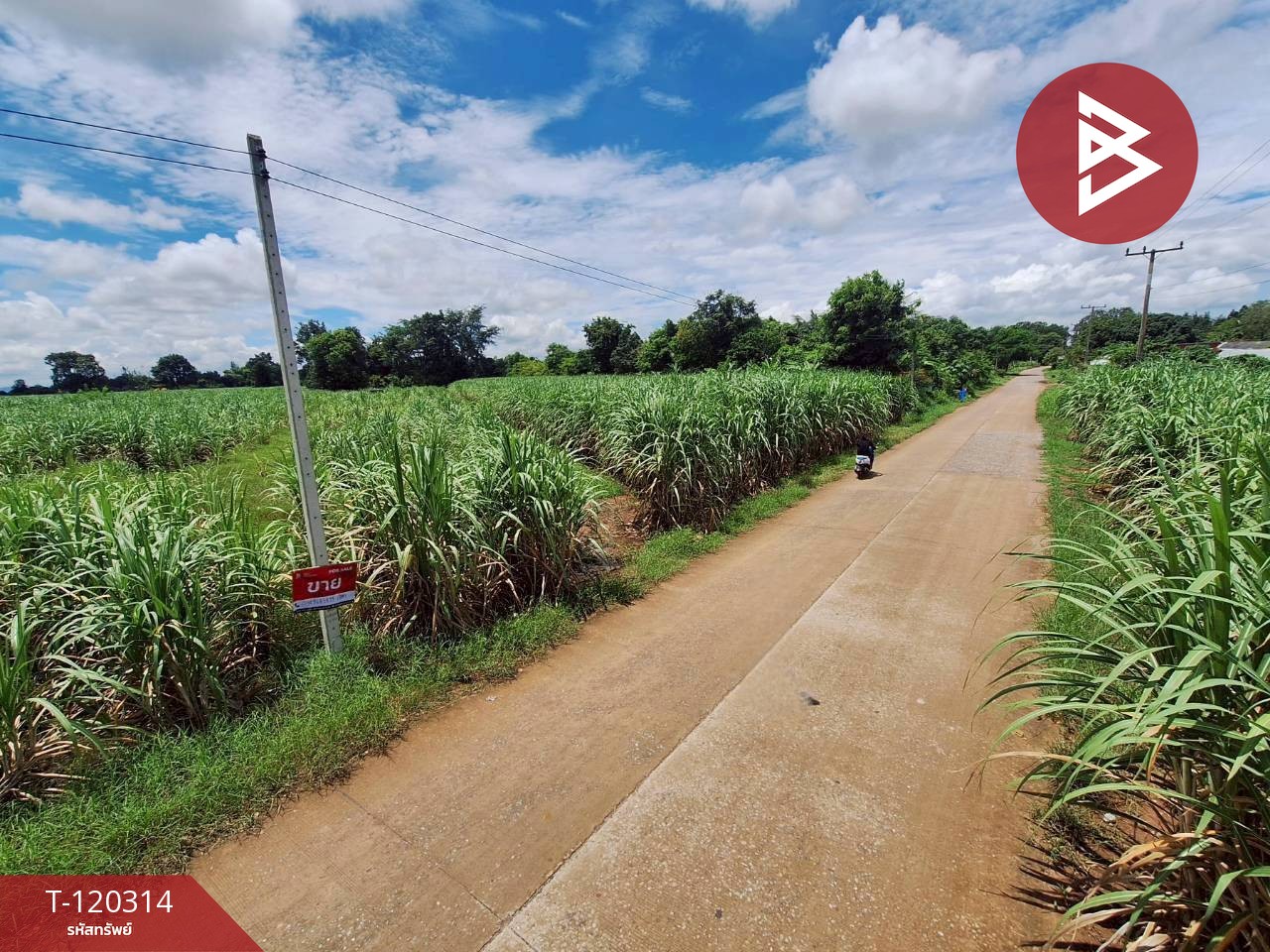 ขายที่ดิน เนื้อที่ 3 ไร่ 67 ตร.วา หนองเรือ ขอนแก่น