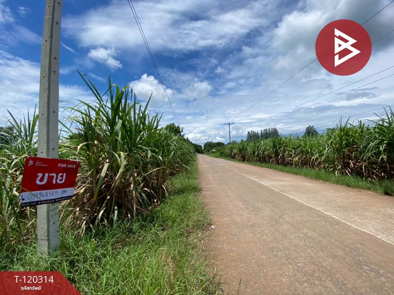ขายที่ดิน เนื้อที่ 3 ไร่ 67 ตร.วา หนองเรือ ขอนแก่น