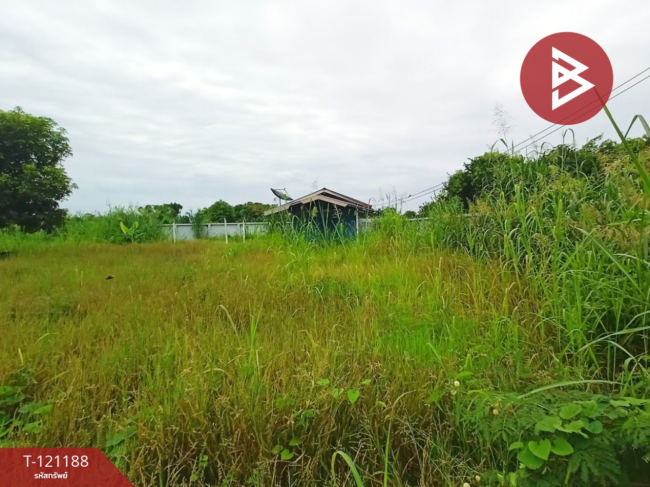 ขายที่ดิน เนื้อที่ 2 งาน 42 ตร.วา บางม่วง นครสวรรค์