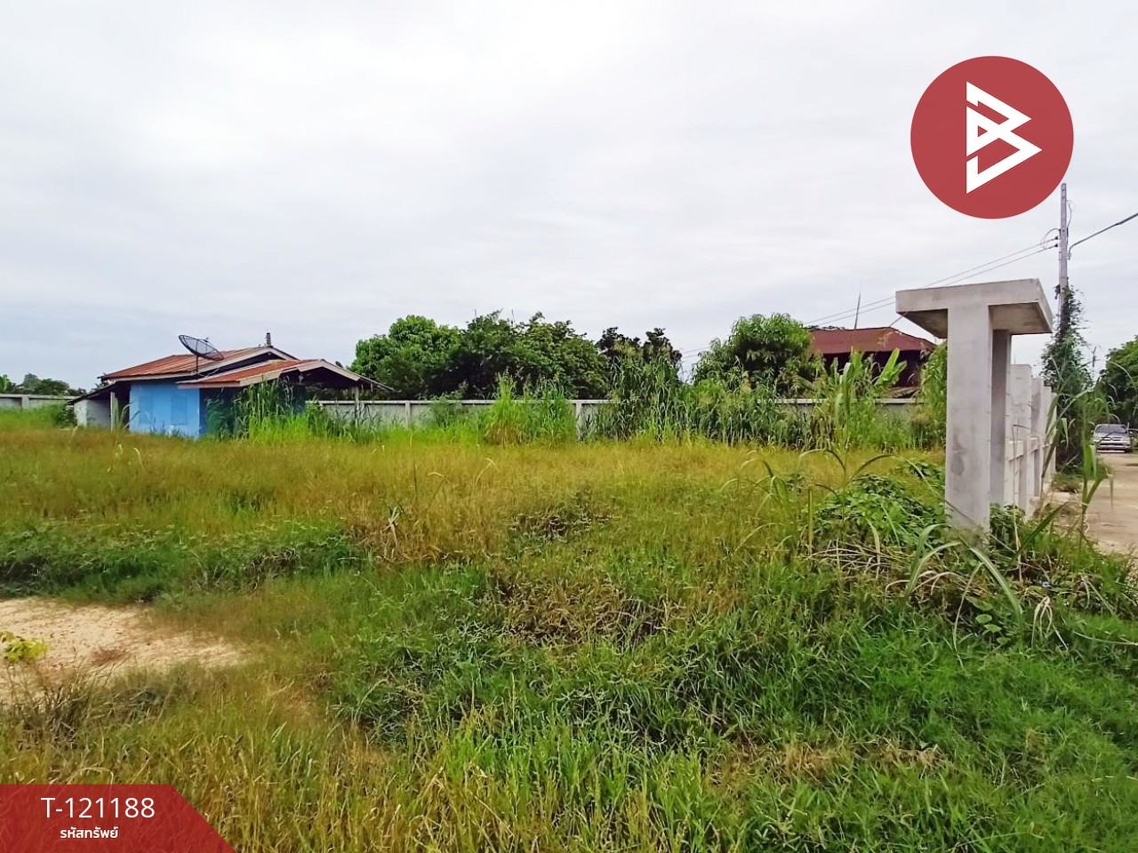 ขายที่ดิน เนื้อที่ 2 งาน 42 ตร.วา บางม่วง นครสวรรค์
