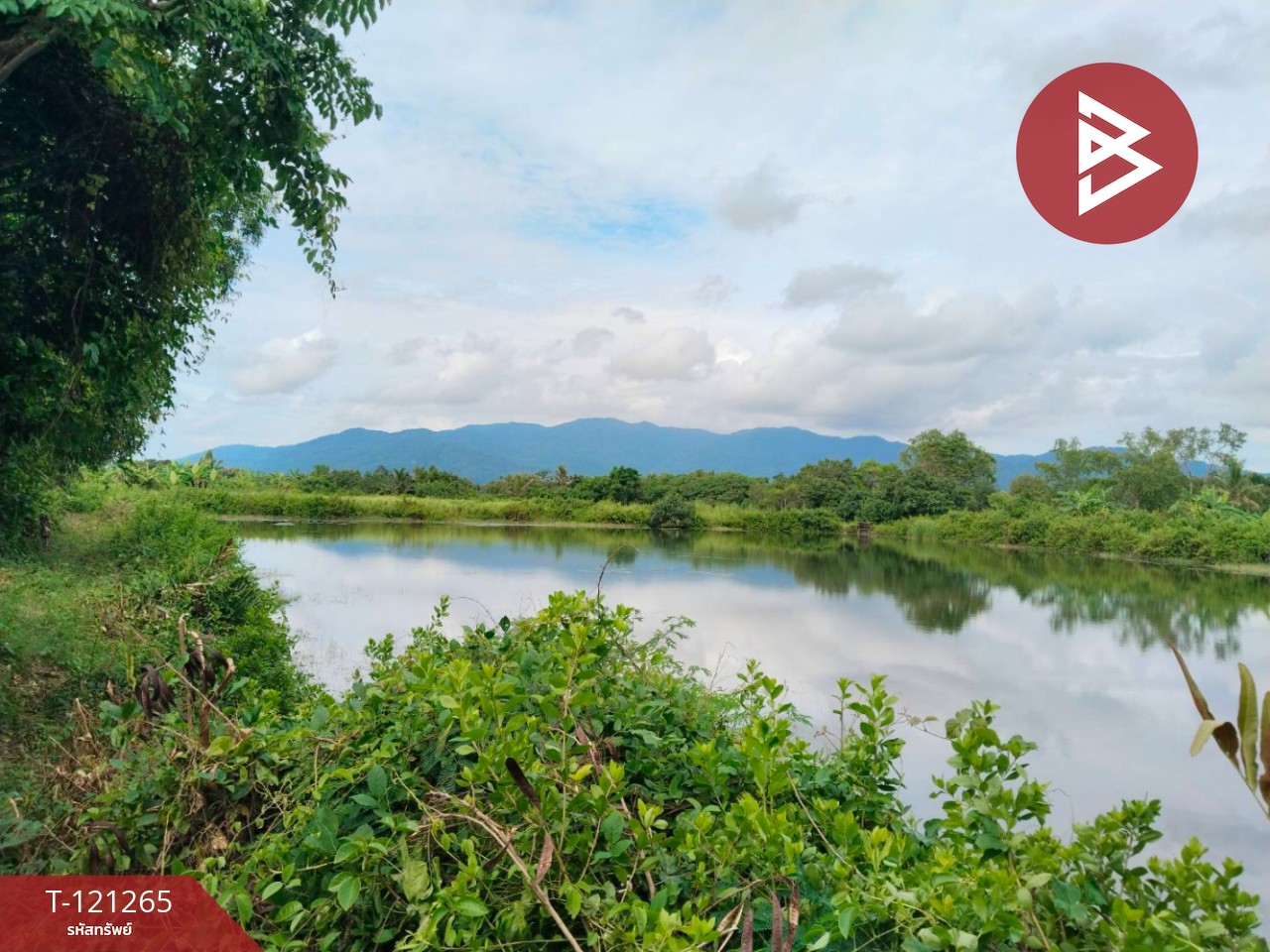 ขายที่ดินพร้อมบ่อปู เนื้อที่ 3 ไร่ แหลมสิงห์ จันทบุรี