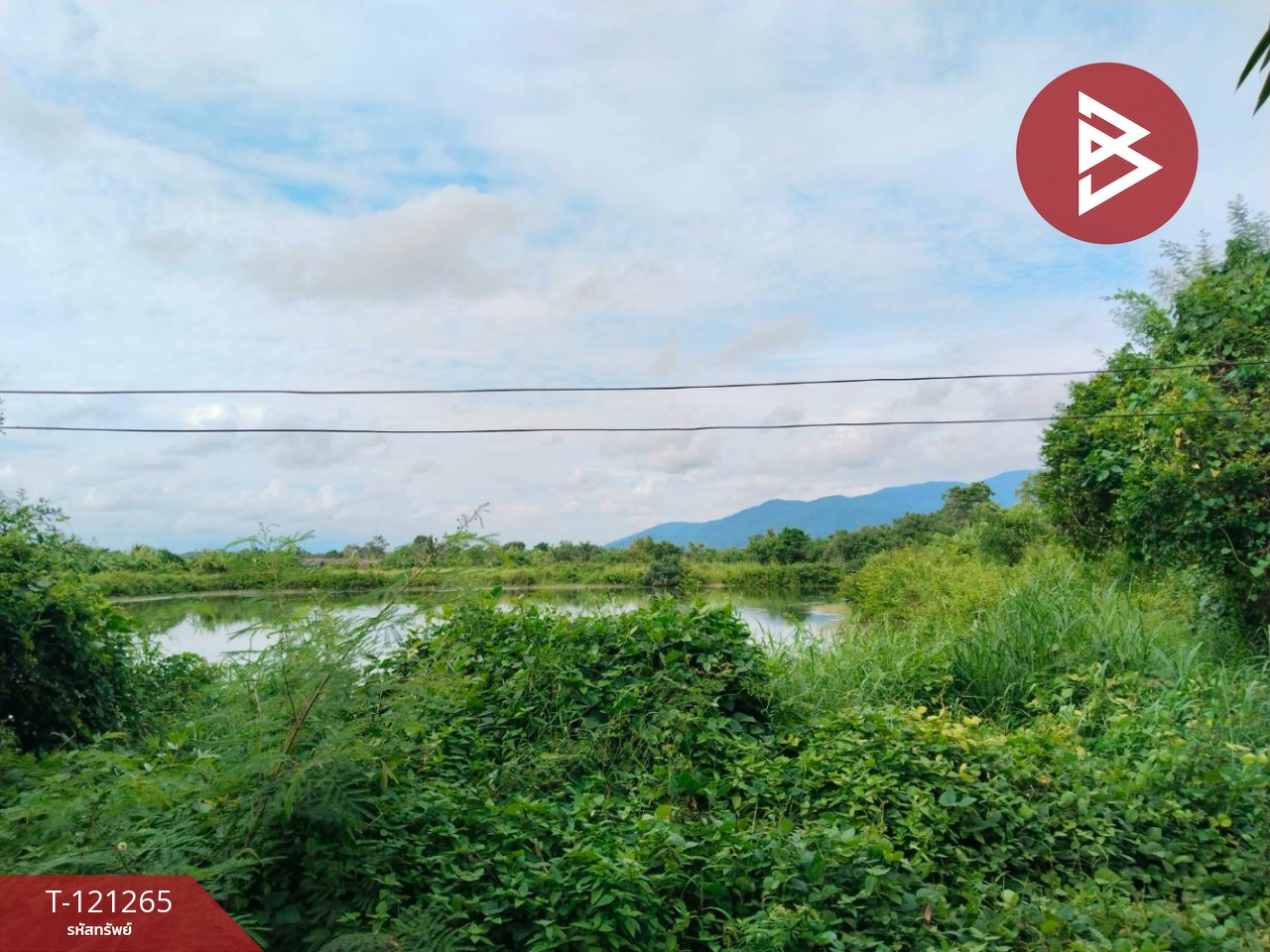 ขายที่ดินพร้อมบ่อปู เนื้อที่ 3 ไร่ แหลมสิงห์ จันทบุรี