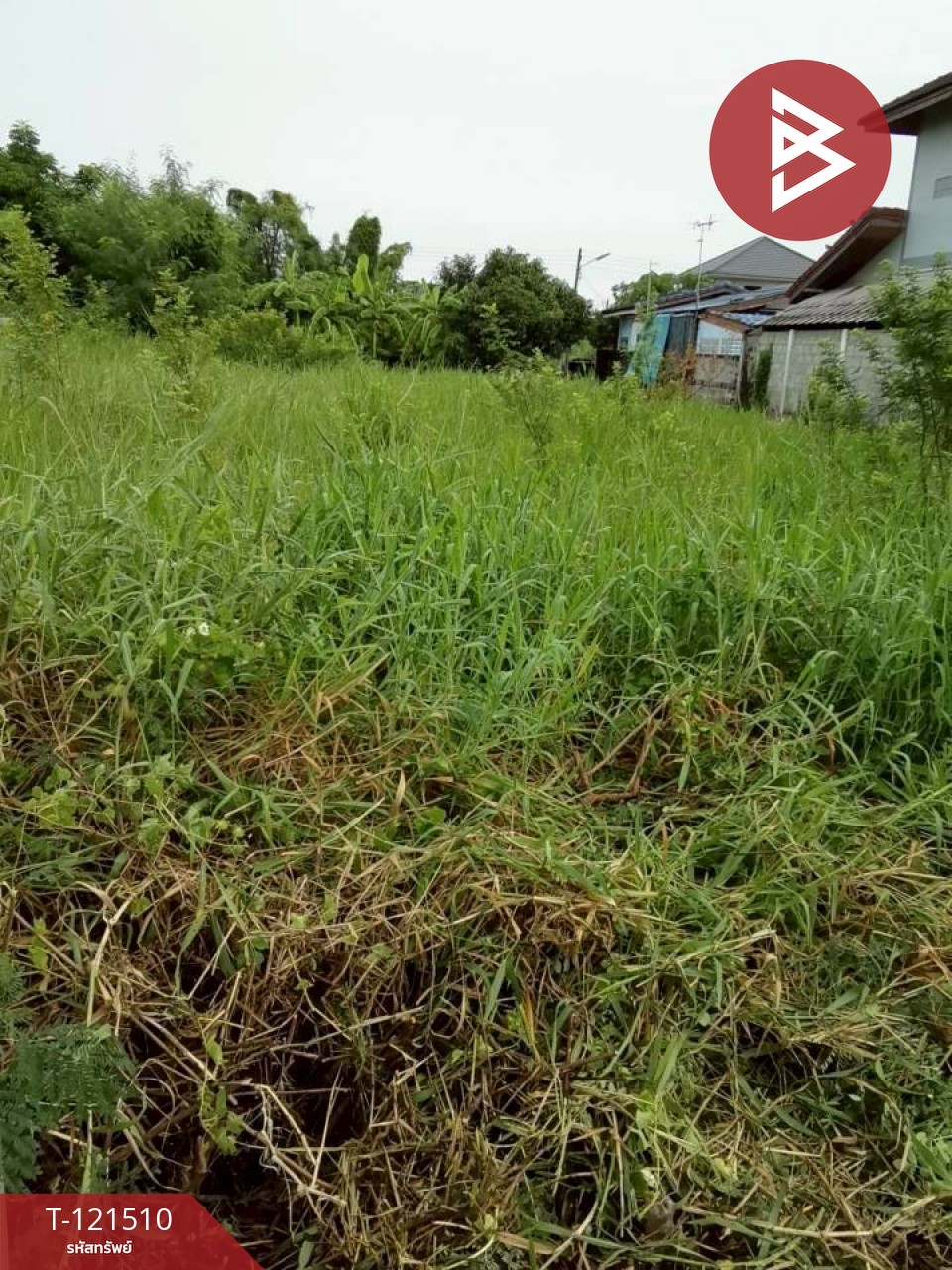 ขายที่ดิน เนื้อที่ 69 ตร.วา พุทธมณฑล นครปฐม