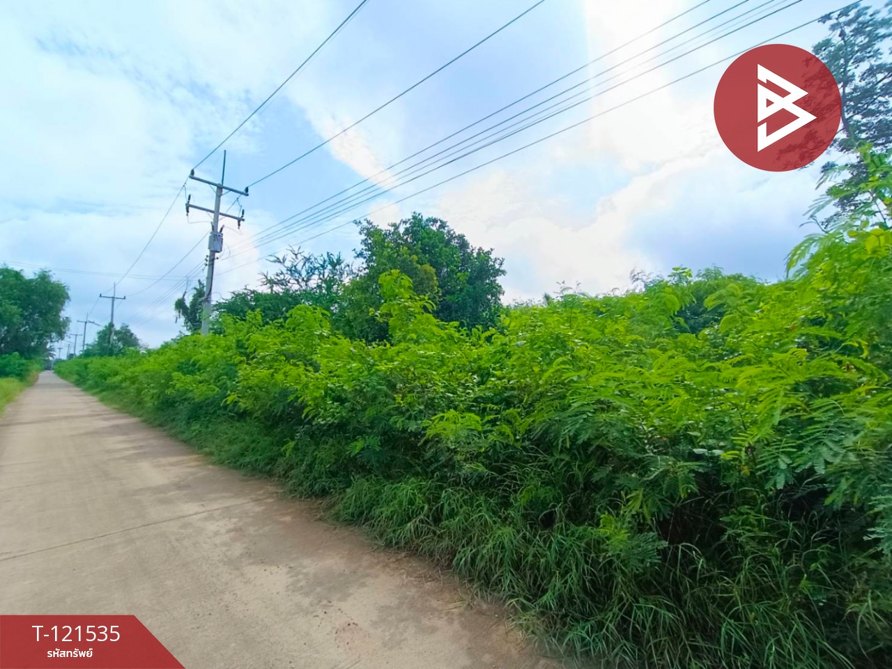 ขายที่ดินเปล่า เนื้อที่ 3 ไร่ 3 งาน 95 ตร.วา นางตะเคียน สมุทรสงคราม