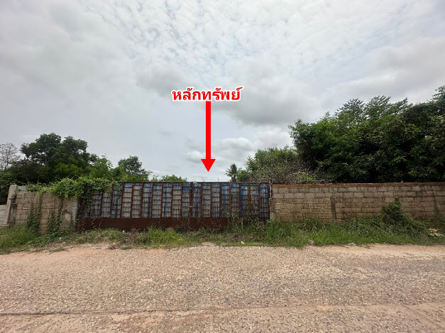 KTB : ที่ดินเปล่า ตำบลหนองกุงศรี กาฬสินธุ์ 67NE010100654