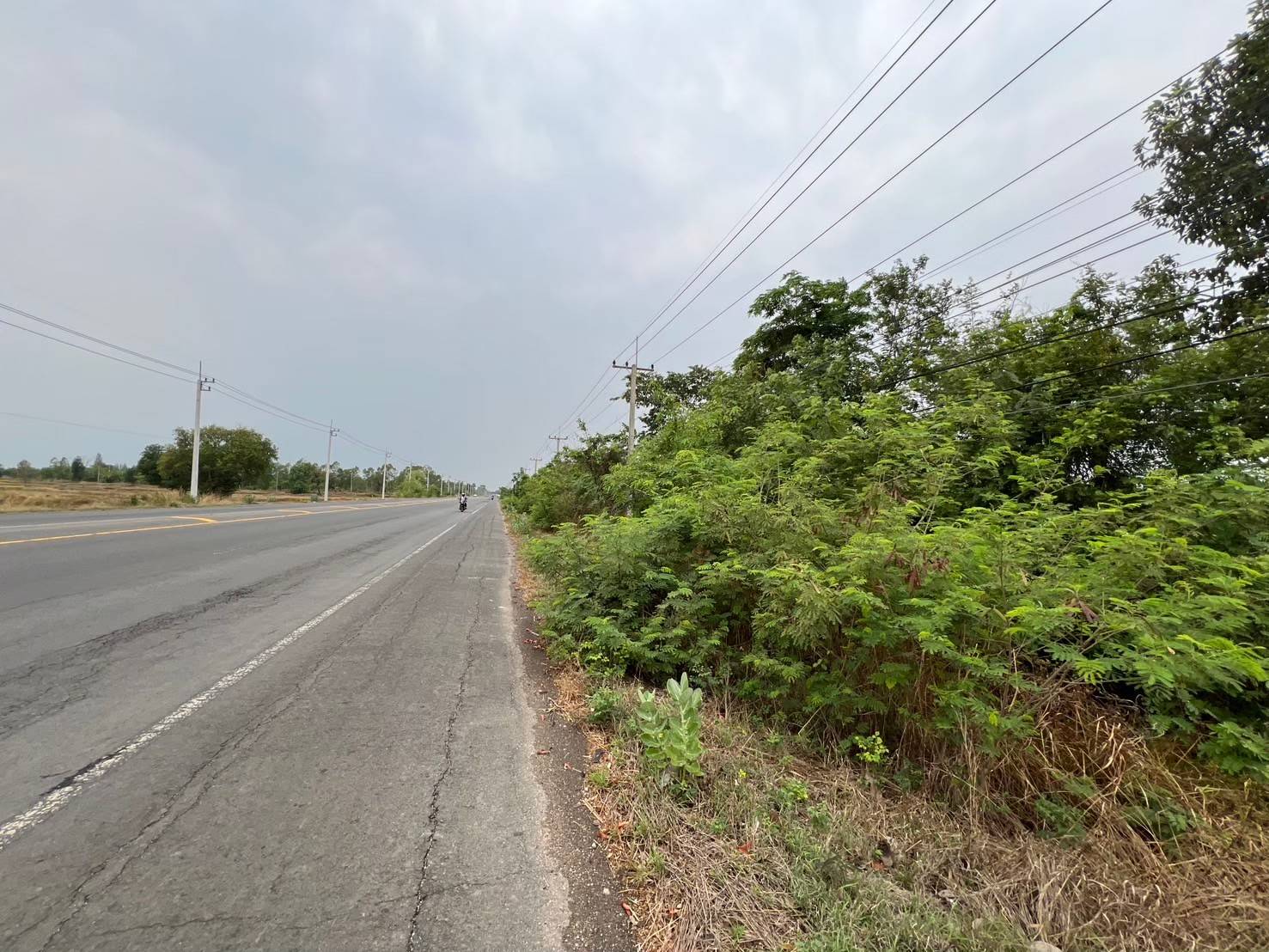 KTB : ที่ดินเปล่า ตำบลหนองกะทิง บุรีรัมย์ 62NE030103033