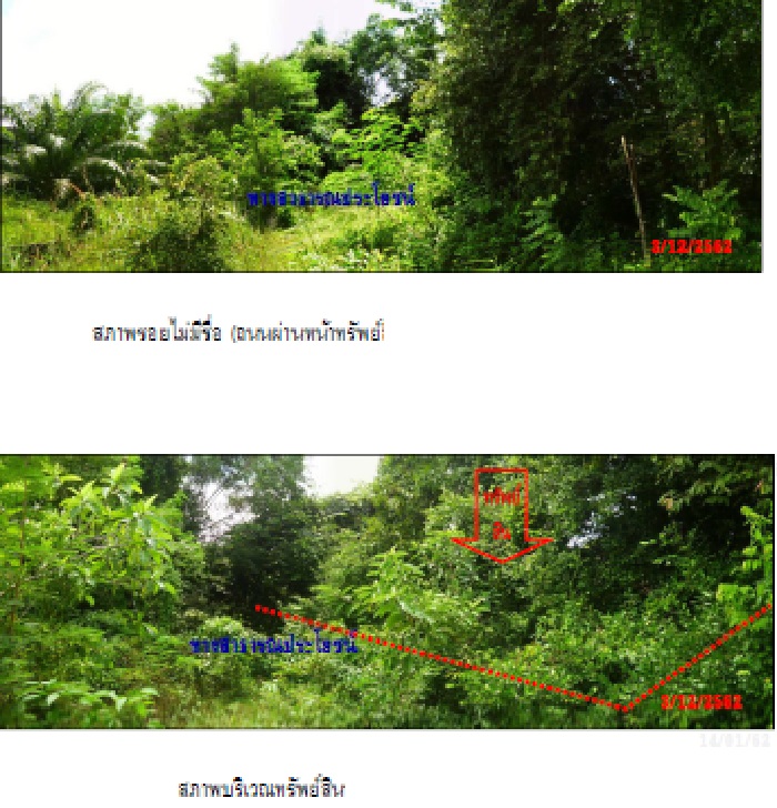 KTB : ที่ดินเปล่า ตำบลเหนือคลอง กระบี่ 61SS010100634