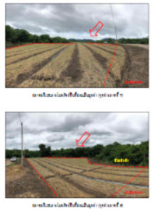 KTB : ที่ดินเปล่า ตำบลนครเจดีย์ ลำพูน 54NN010100444