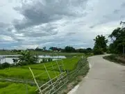 ขาย ที่ดิน ตำบลหนองแก๋ว อำเภอหางดง จังหวัดเชียงใหม่