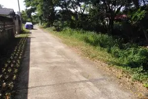 ขายที่ดิน ต. สันกำแพง อ. สันกำแพง จ. เชียงใหม่