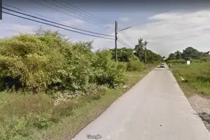 ขายที่ดิน ต. สันกำแพง อ. สันกำแพง จ. เชียงใหม่