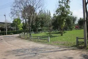 ขายที่ดิน ในโครงการ เขาใหญ่วัลเลย์ เขาใหญ่วัลเลย์ ถ.ธนะรัชต์-วังน้ำเขียว-3052 กม.5 ใกล้คีรีมายา หมูสี · หมูสี · ปากช่อง · นครราชสีมา 