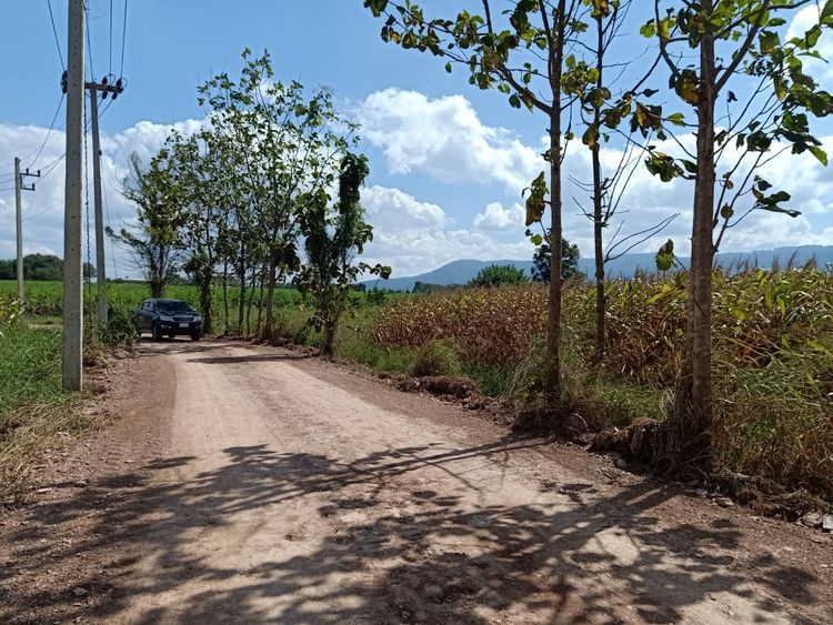 ขายที่เขาใหญ่ หมูสี 3ไร่ คลองดินดำ ใกล้ Toscana 5.3กม จากเส้น 3050 2กม., ภาพที่ 4
