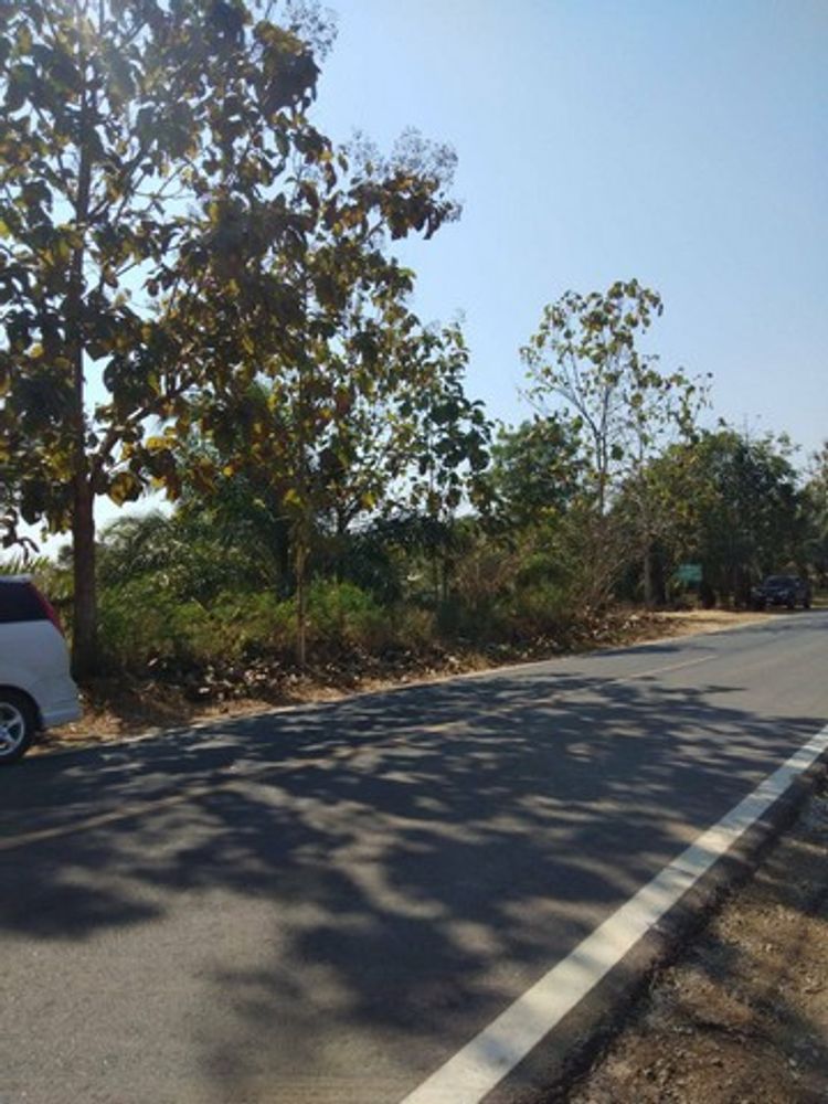 ขายที่ดิน 3แปลงติดกัน  ตำบลจอมศรี อำเภอเชียงคาน จังหวัดเลย, ภาพที่ 4