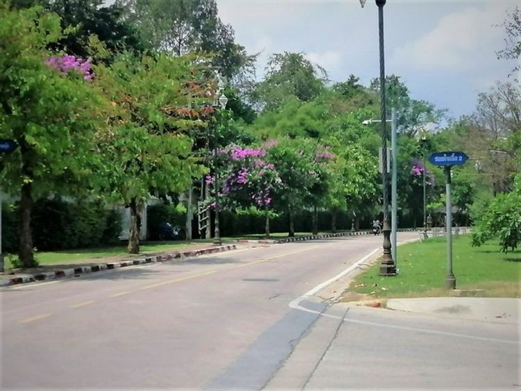 ขายอพาร์ทเม้นท์ 3 ชั้น 28 ห้อง100 วา มีรายได้ สถานที่เงียบ น่าอยู่ บงกช, ภาพที่ 4