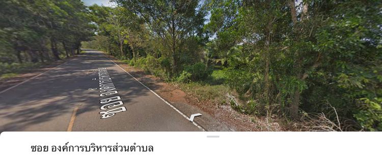 ขาย ที่ดิน ตำบลคลองใหญ่ อำเภอแหลมงอบ จังหวัดตราด, ภาพที่ 4