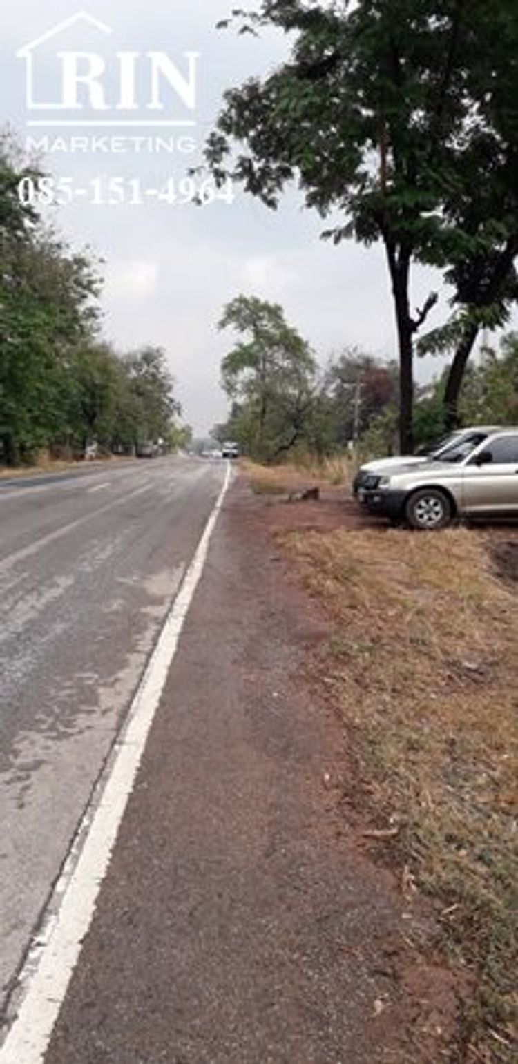 R085-100 ขาย ที่ดิน 9 ไร่ ติดถนนลาดยาง ต. จานลาน อ.พนา จ.อำนาจเจริญ เอ๋, ภาพที่ 4