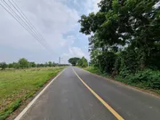 ขายที่ดินปล่าว ทำเลงาม 2 งาน 32 ตร.วา อำเภอเมืองศรีสะเกษ เหมาะกับการ เปิดร้านขายของชำ ขายอุปกรการเกษตร ขายปุ๋ย หรือขายวัสดุก่อสร้าง 