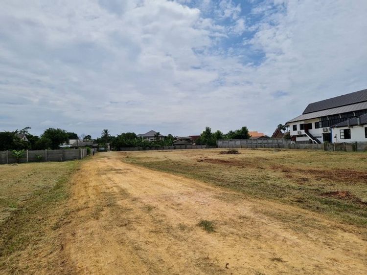 ขายที่ดิน 8 ไร่ 46 ตรว อ แม่ริม  จ.เชียงใหม่ เจ้าของขายเอง , ภาพที่ 4