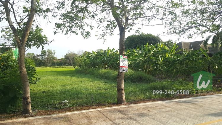 ขายที่ดิน คลอง10 หนองเสือ ซอยเทศบาล8 ขนาด 130 ตรว. ราคา769,000 บาท, ภาพที่ 4