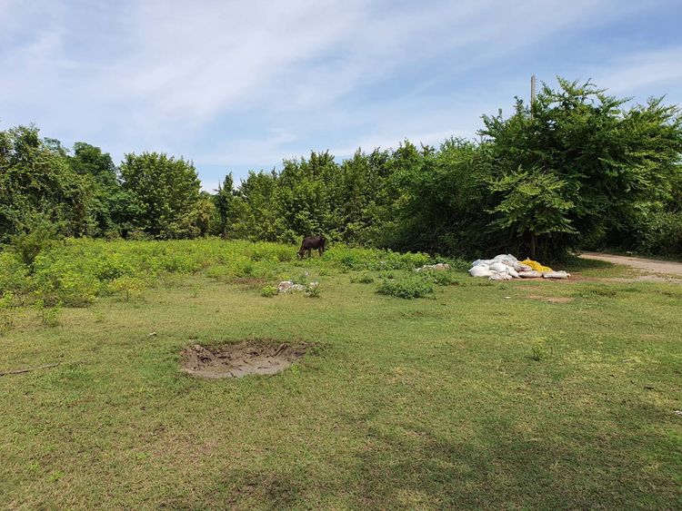 ขาย ที่ดิน 388 ตรว. ตำบลเขาขลุง อำเภอบ้านโป่ง จังหวัดราชบุรี ฟรีค่าโอน, ภาพที่ 4