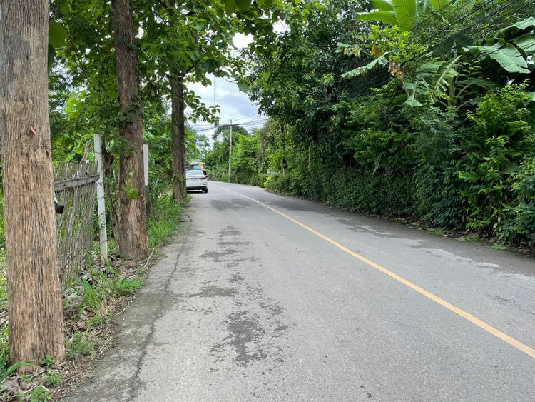 ขาย ที่ดิน ตำบลหนองจ๊อม อำเภอสันทราย จังหวัดเชียงใหม่, ภาพที่ 4