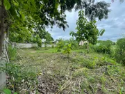 ขาย ที่ดิน ตำบลหนองจ๊อม อำเภอสันทราย จังหวัดเชียงใหม่