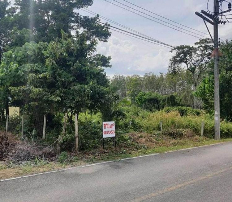 ขายที่ดิน ทำเลดี ใกล้สนามบิน ตำบล สาคู อำเภอ ถลาง ภูเก็ต, ภาพที่ 4