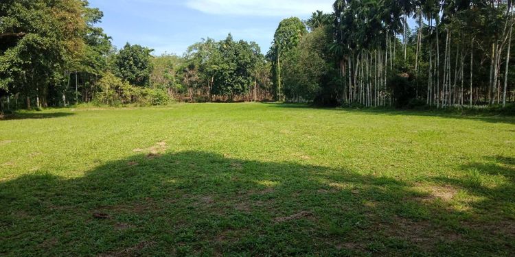 ขาย ที่ดิน ตำบลนาเตย อำเภอท้ายเหมือง จังหวัดพังงา, ภาพที่ 4