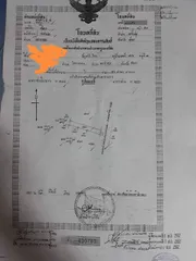 ขาย อาคารพาณิชย์ ตำบลโคกกลอย อำเภอตะกั่วทุ่ง จังหวัดพังงา