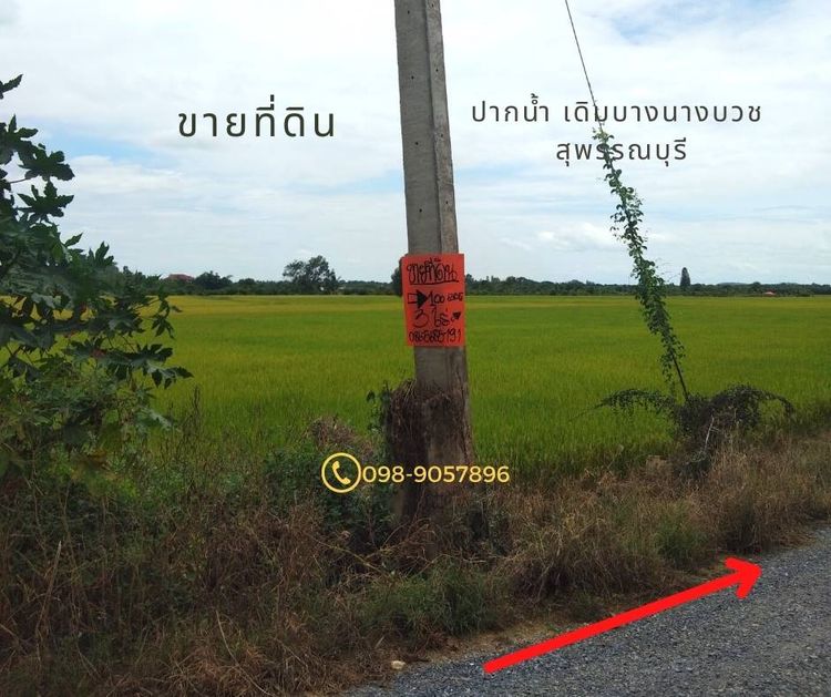 ขาย ที่ดิน ตำบลปากน้ำ อำเภอเดิมบางนางบวช จังหวัดสุพรรณบุรี, ภาพที่ 4