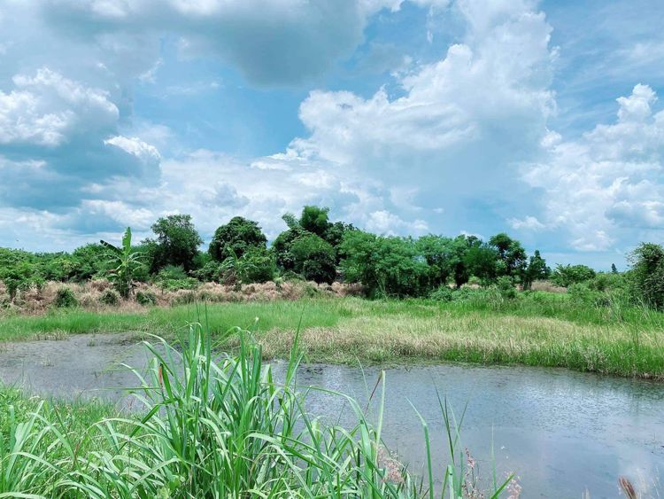 ขาย ที่ดิน ตำบลท่าบุญมี อำเภอเกาะจันทร์ จังหวัดชลบุรี, ภาพที่ 4