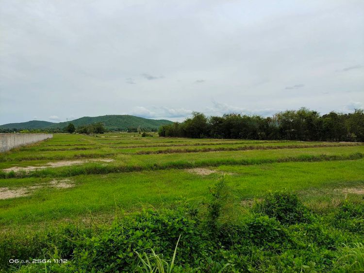 ขาย ที่ดิน ตำบลป่าสัก อำเภอเมืองลำพูน จังหวัดลำพูน, ภาพที่ 4