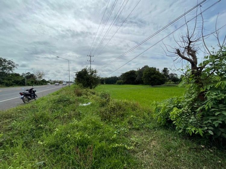 ขายที่ดินที่นา แบ่ง 1ไร่ 5ล้าน ไฟฟ้า ประปา ติดถนน4เลน เข้าเมือง 13กม., ภาพที่ 4