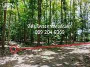 ขายที่ดินพร้อมต้นสักทอง 319 ตรว.โครงการสวนเกษตร ทุ่งดินดำรีสอร์ท ราคาถูก อำเภออู่ทอง จังหวัดสุพรรณบุรี