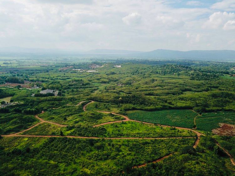 ขายที่ดินเขาใหญ่ 101 ไร่ ที่เนินเขา 8 ลูก วังไทร หนองสาหร่าย ปากช่อง , ภาพที่ 4
